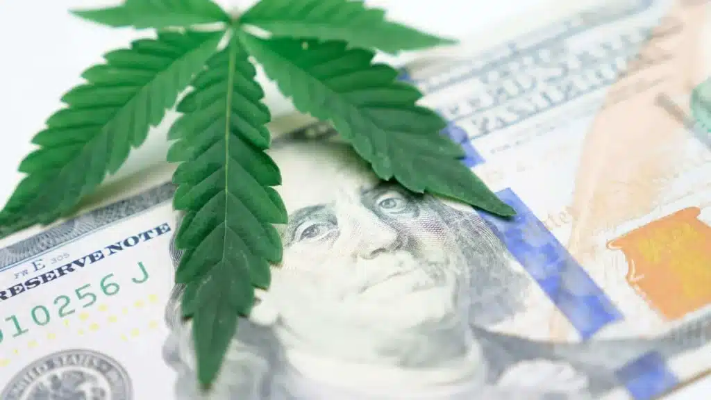 cash only cannabis
