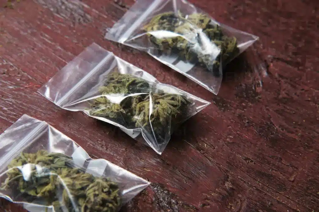 How to Keep Weed Fresh in Plastic Bag?