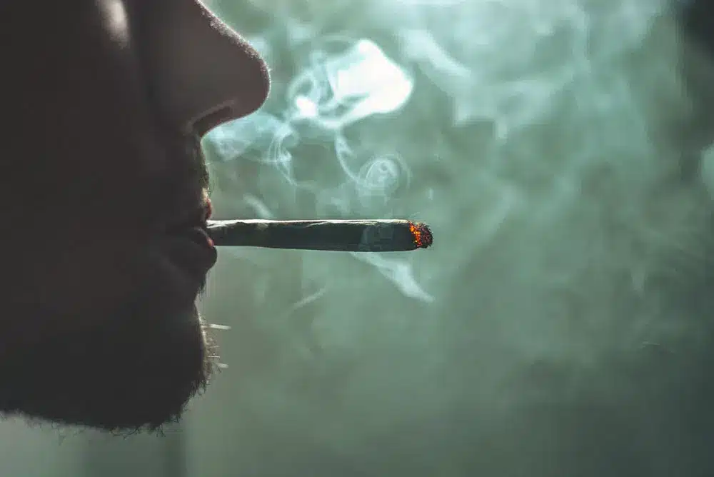 Shop Our Broad Range of Pre-Rolled Cannabis Joints in Seattle, Tacoma, Burien & Everett