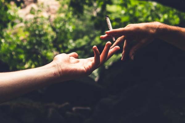 Four locations offering a wide selection of high-quality pre-roll cannabis joints. Choose from single & multi-strain marijuana varieties for just the effect you want.