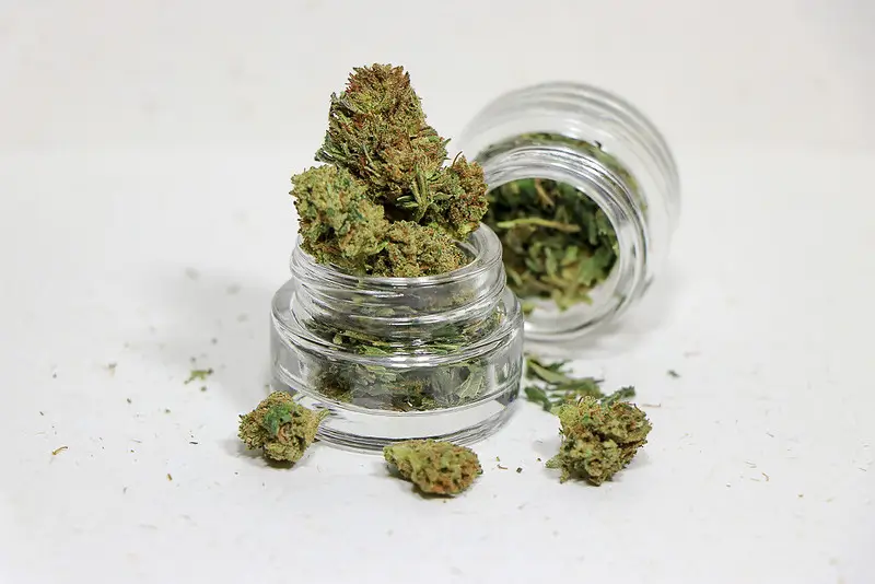 Hemp Flower