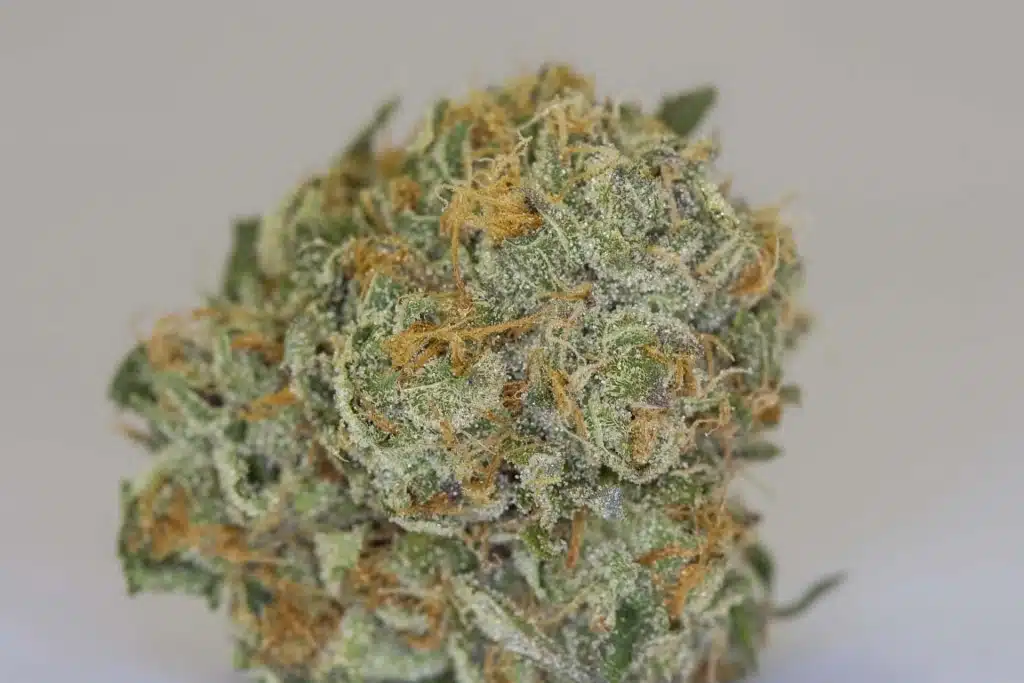 Medical Marijuana Dispensary