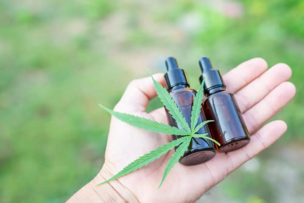 Types-of-Cannabis-Dispensaries